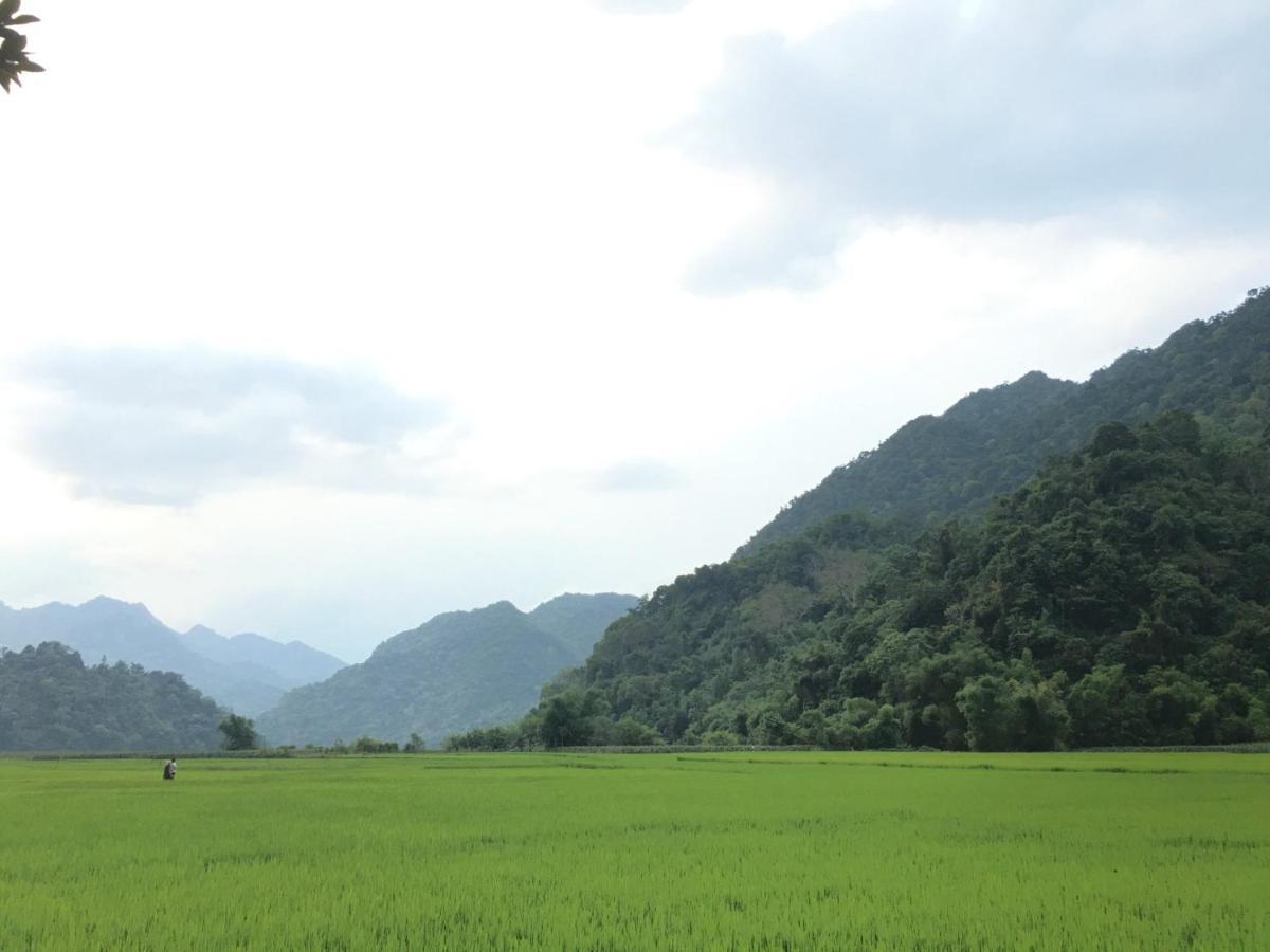 Hoang Quan Homestay Ba Be Екстериор снимка
